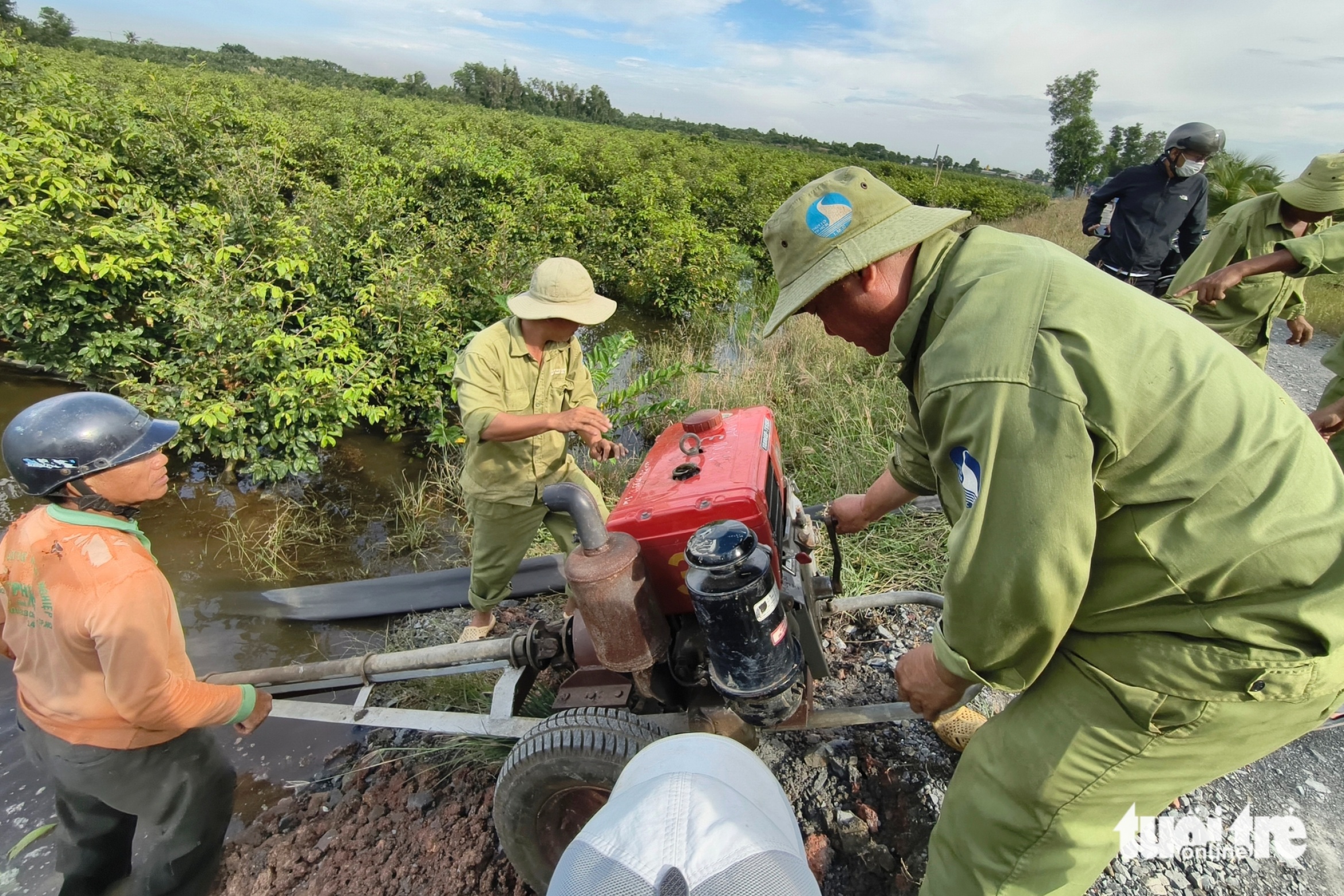努力抽水拯救平利数十公顷被淹的黄花